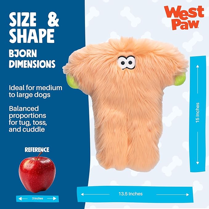 WEST PAW Rowdies Bjorn Durable Plush Dog Toy with Reinforced Seams Chew Resistant Design and Interactive Squeaker for Playtime Indoors or Outdoors Bundle for Dogs Who Deserve The Best - Melon