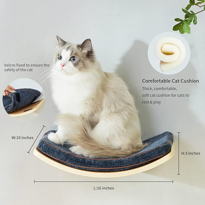 Cat Shelf with Comfortable Cushion - Curved Cat Shelves and Perches for Wall (Medium Size) - Wall Mounted Cats Furniture for Sleeping, Playing, Climbing, and Lounging