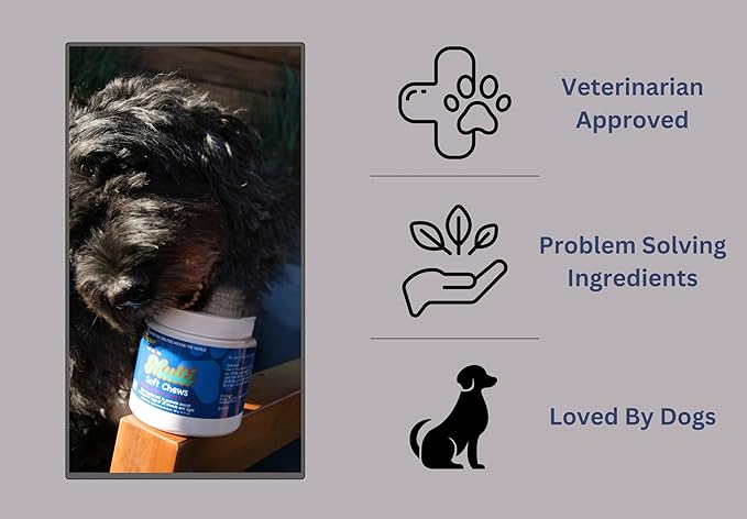 to The Rescue Dog Multivitamin Supplement - Ideal Supplement to Promote Overall Wellness for Dogs of All Breads and Ages - Assist in Maintaining a Healthy and Fit Lifestyle for Your Dog - 60 Chews