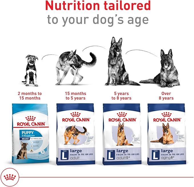 Royal Canin Size Health Nutrition Large Adult Dry Dog Food, 4 lb Bag