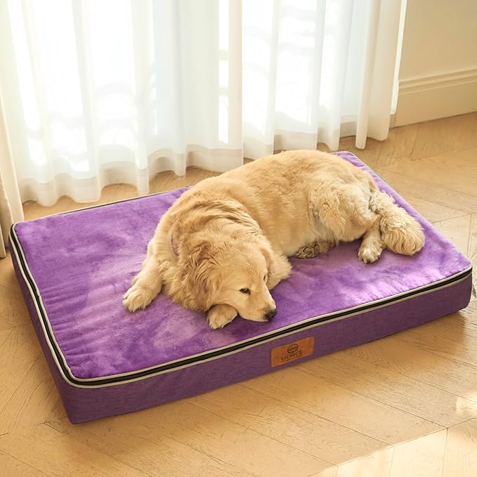 Orthopedic Memory Foam XXL Dog Bed - 6" Thick Beds for Extra Large Sized Dog - Waterproof Removable Washable Cover & Wrap-Around Zipper - Ultimate Comfort & Easy Maintenance, Purple