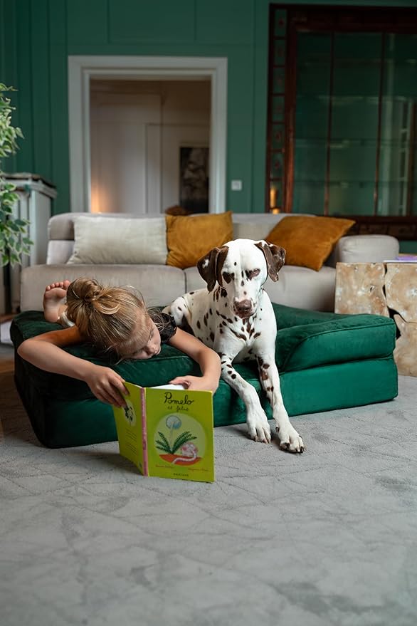 NOAH & PAW XL Dog Bed, 45x35x11 Inch, Orthopedic Large Dog Beds, Eggshell Memory Foam Infused with Cooling Gel, Inner Cover, Waterproof, Machine Washable (Velvet Sofa Collection)