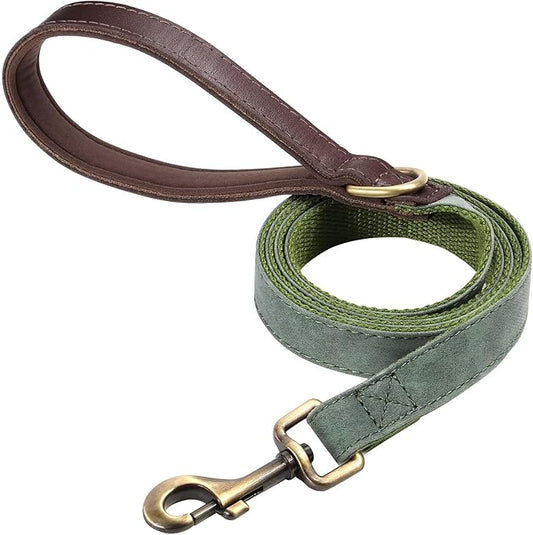 Didog PU Leather Dog Leash for Small Dogs 4.5ft, Soft Padded Handle Dog Leashes for Medium Size, Walking and Training Leashes Faux Leather for Large Pet,Green