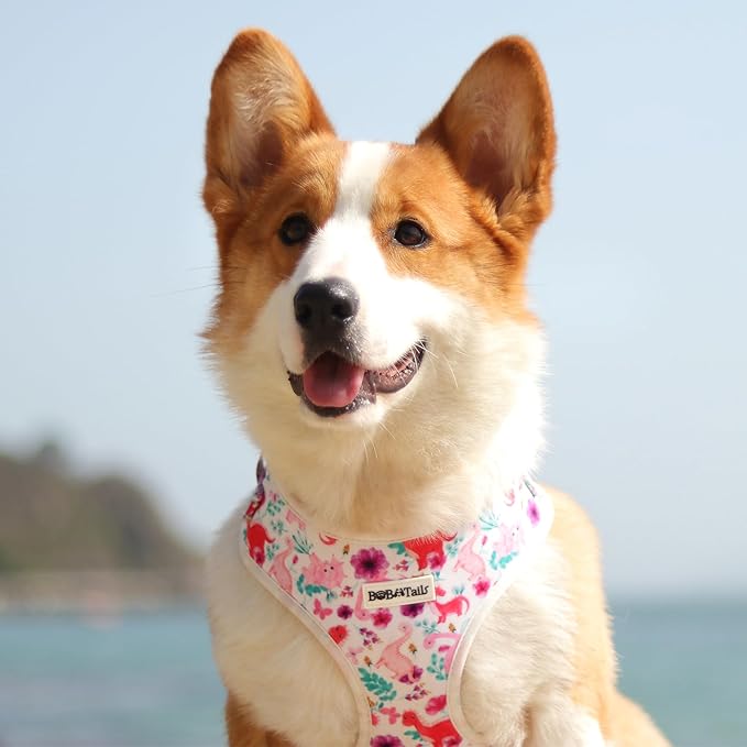 Dinosaur Printed Dog Harness with D-Ring Leash Clip Set,Adjustable Soft Padded and Cotton Fabric Pet Vest Harnesses for Small Size Dogs (White, Small)