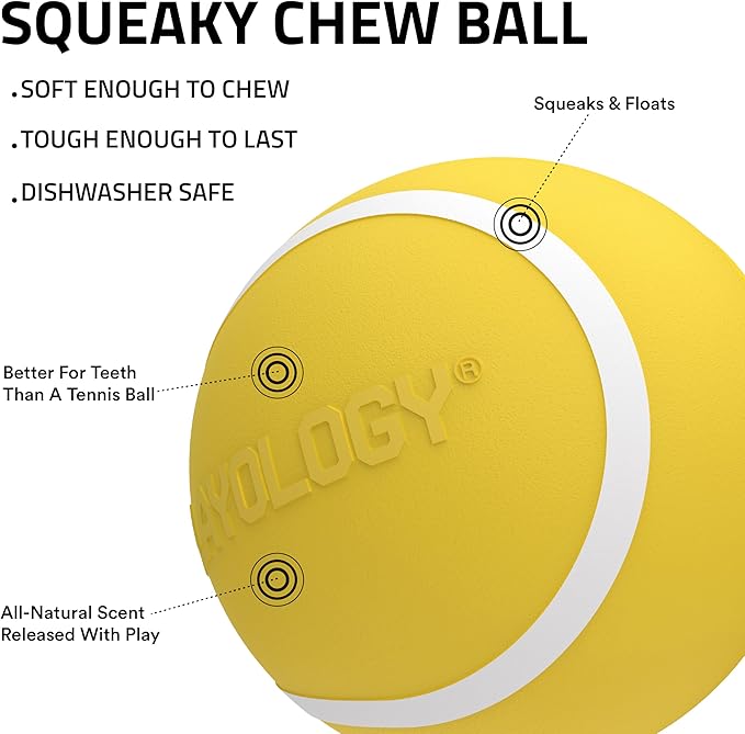 Playology Dog Toys | Squeaky Chew Ball - Bouncy Durable Floating Fetch Ball for Dogs | Jumbo Apple Cider Limited Edition Fall Scented Toy - Easy to Clean and Made from Non Toxic Materials