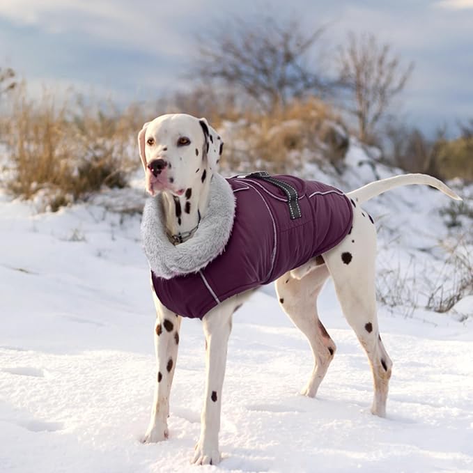 Lelepet Warm Dog Coat Waterproof Dog Jacket for Medium Dogs Reflective Fleece Vest with Adjustable Buckle Hook & Loop Windproof Cold Weather Coats for Small Medium Large Dogs, Dark Purple, M