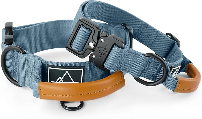Made to ROAM Premium Explorer Control Collar - Adjustable Heavy Duty Nylon Dog Collar with Quick-Release Metal Buckle and Handle (California Horizon, Control Size 3)