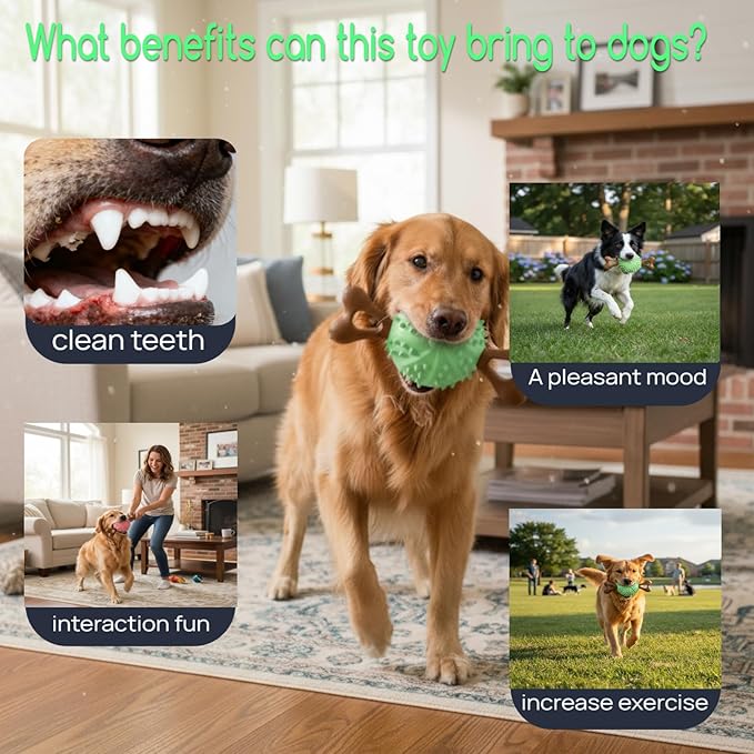 Indestructible Dog Chew Toy, Durable Chew Toy for Small and Medium Dogs, Interactive Bone Toy to Keep Dogs Busy, Teeth Cleaning Toy, Multifunctional Dog Toy for Treats/Cleaning/Chewing