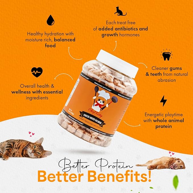 Freeze-Dried Salmon Treats for Cats & Dogs – 100% Wild Caught, Single Ingredient, High-Protein, Healthy Snack – No Additives or Preservatives – 2.6oz - Inspected & Tested in USA