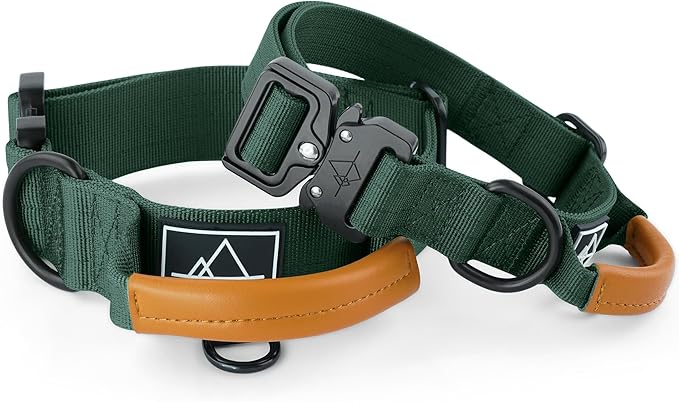 Made to ROAM Premium Explorer Control Collar - Adjustable Heavy Duty Nylon Dog Collar with Quick-Release Metal Buckle and Handle (Maine Marina, Control Size 3)