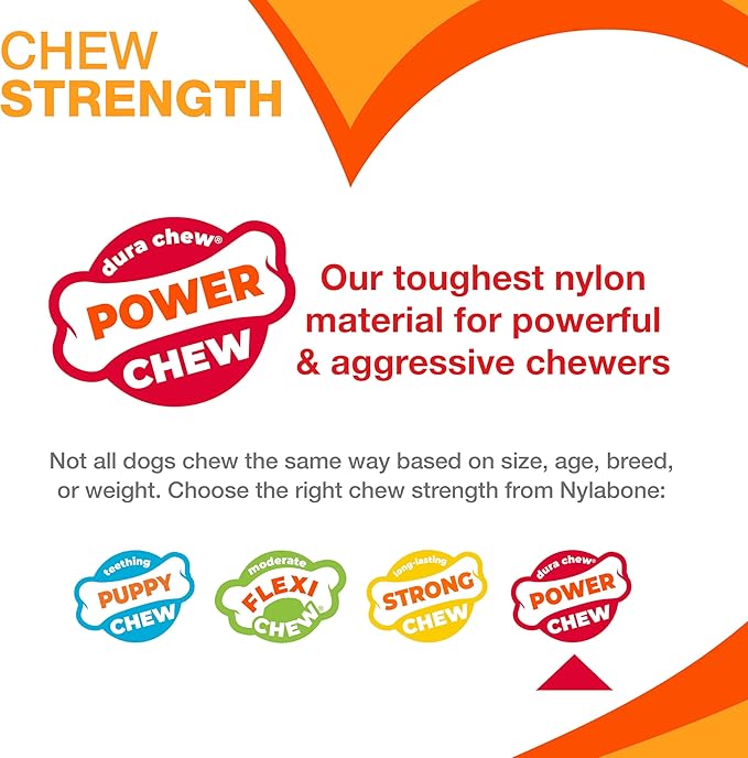 Nylabone Textured Ring Power Chew Toy for Small Dogs, Tough Dog Toys Durable Design for Aggressive Chewers, Best Dog Boredom Toys, Flavor Medley, Small - Up to 25 lbs (1 Count)