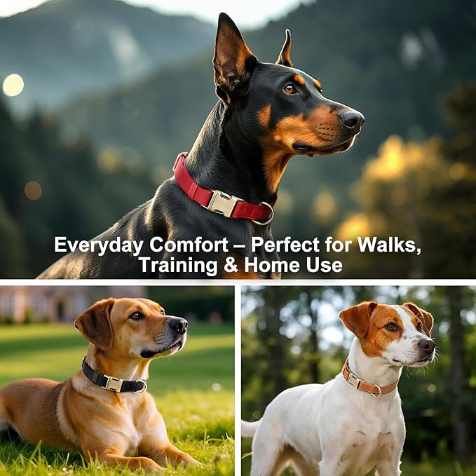 Plutus Pet Genuine Leather Dog Collar – Adjustable Pet Collar with Quick Release Metal Buckle, Soft Real Leather for Small Medium Large Dogs, Heavy Duty & Skin-Friendly (Green, M)