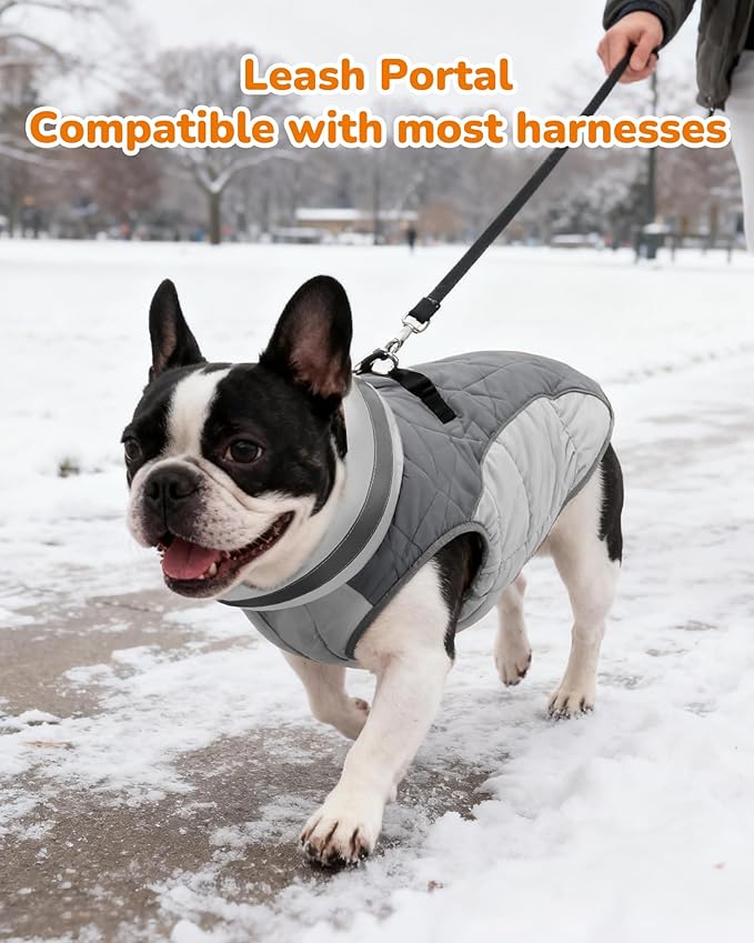 Dog Coat for Medium Dogs, Adjustable Dog Jackets for Cold Weather, Reflective Winter Coat with Built-in Harness, Snowsuit Fits Dogs 14-25 lbs and Up, Size M Black