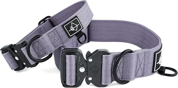 Made to ROAM Premium Dog Collar - Adjustable Heavy Duty Nylon Collar with Quick-Release Metal Buckle (Montana Moonrise, Classic Size 1)