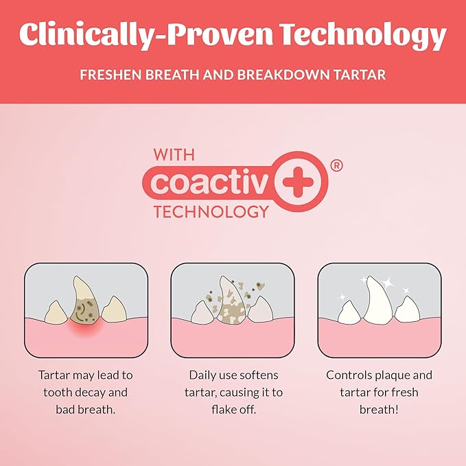 SKOUT'S HONOR Fresher Breath Peanut Butter & Bacon Oral Gel - Fights Plaque and Tartar, Freshens Breath Fast, No Brushing Required, 4 oz, 2-Pack