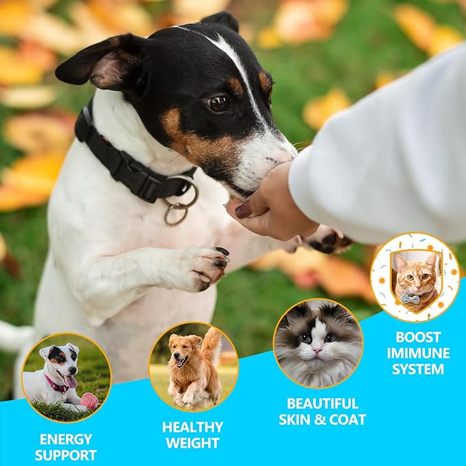 Herring Fish Dog Treats, Freeze Dried, Wild-Caught, Single Ingredient, High-Protein, Omega 3 & 6 for Skin & Coat, No Additives, Grain-Free Cat & Dog Treats (7.5 oz)