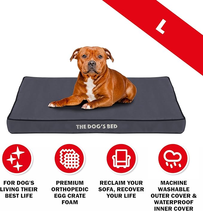 The Dog’s Bed Orthopedic Dog Bed, Large Grey with Black Trim, Waterproof, Supportive Dog Bed with Washable Replaceable Covers,Veterinary Approved