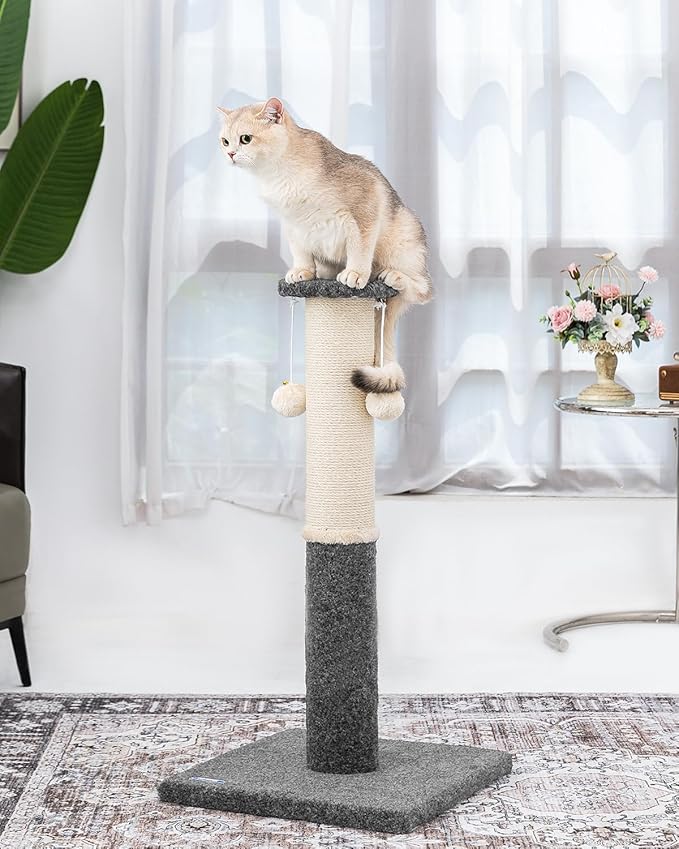 34-Inch Tall Cat Scratching Post for Indoor Cats, Komicoll Large Carpet Scratch Post, Sisal Cat Scratcher, Sturdy and Durable Cat Post with Hanging Ball