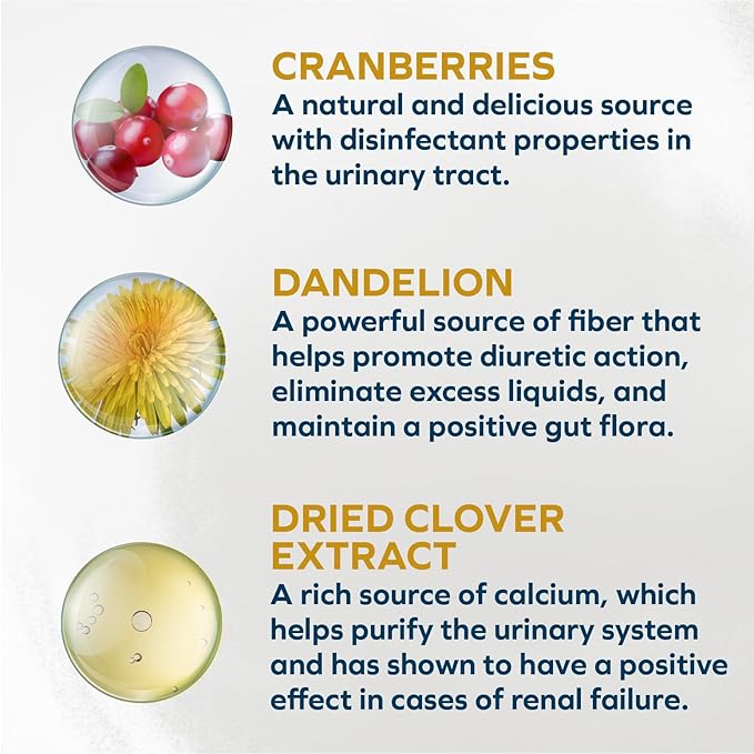 Forza10 - Cat Food, Actiwet Dermo Wet Cat Food, Non GMO, Vet-Approved for Sensitive Stomach and Skin with Support for Feline Dermatitis, Salmon Flavor, Made in Italy (3.5 oz, 32 Pack)