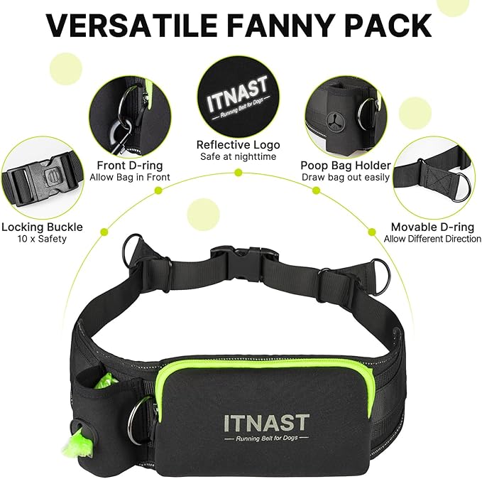 Hands Free Dog Leash for 2 Dogs, Waist Support Padded Bungee Dog Running Leash with Reflective Stitching for Walks, Jogging, Running, Hiking, and Dog Training