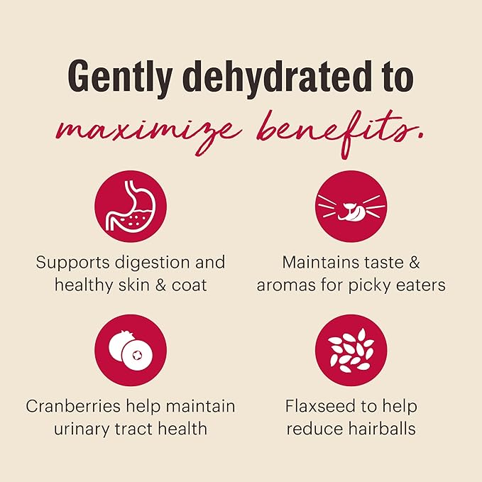 The Honest Kitchen Human Grade Dehydrated Grain Free Chicken Cat Food, 2 lb Box