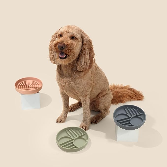 Should We Go? Slow Feeder for Dogs & Puppies, The Slowdown Bowl Silicone Slow Eating, Modern Lick Mat Design, Reduces Gulping, Fits 2 Cups, 7.5” Across x 1.5” Tall, Mealtime Challenge, Medium-Blush