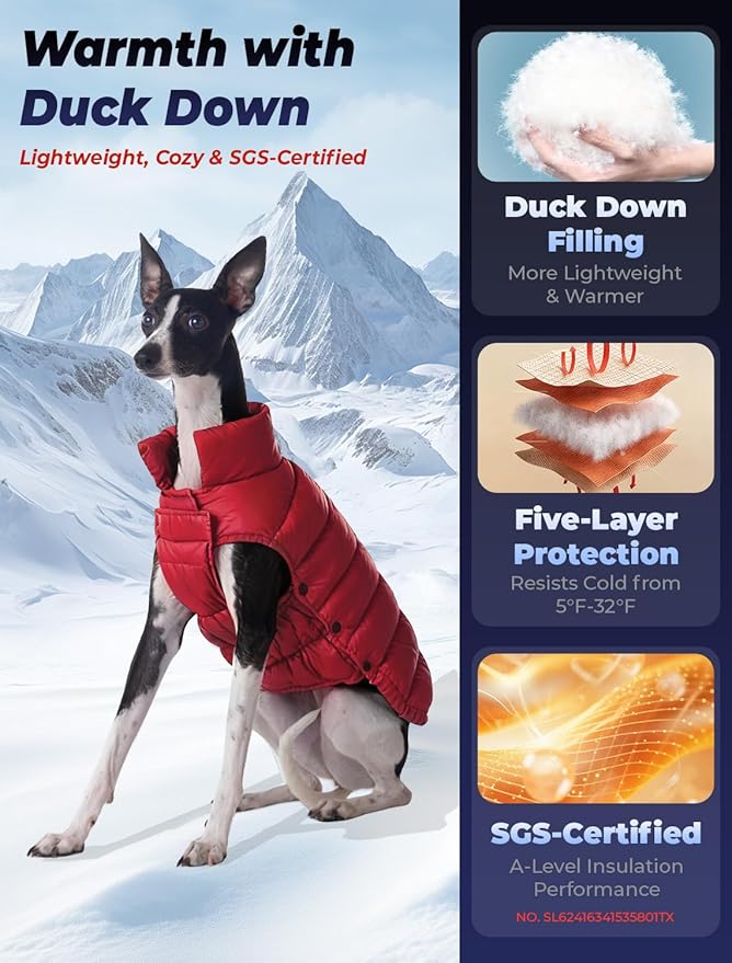 SPACE LION Dog Puffer Jacket, Down Winter Coat, Durable Outdoor Coat for Cold and Windy Conditions, Lightweight & Adjustable Fit Coats for Small Dogs, (Red, Size8/XS)