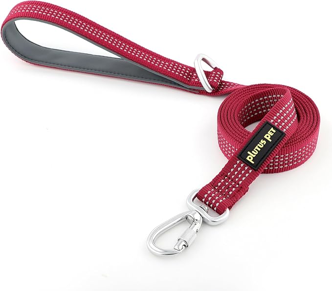 Plutus Pet Heavy Duty Dog Leash with Lockable Aluminum Carabiner, 4/6 Feet Long, Double-Sided Reflective Nylon, Padded Handle, for Puppy, Small, Medium and Large Dogs (Burgundy Red, 4/5" x 6')