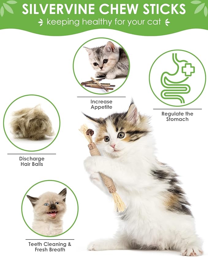TINDTOP 12 Pack Chew Sticks for Cats, Natural Silvervine Catnip Toys for Kittens Teeth Cleaning, Matatabi Dental Care, Increase Appetite, Calm Cat Anxiety and Stress, Cat Dental Toy