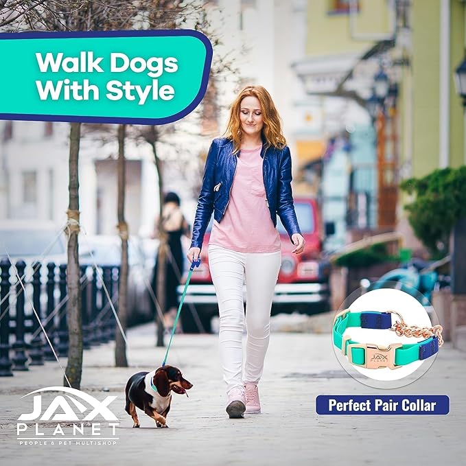 Jelly Colorful Dog Leash, Waterproof Training Leash for Walking, Hiking & Outdoor Activities, Non-Slip Grip, Anti-Odor Nylon Lead with Alloy O-Ring, Heavy Duty - M150, 5FT - Turquoise & Blue, M