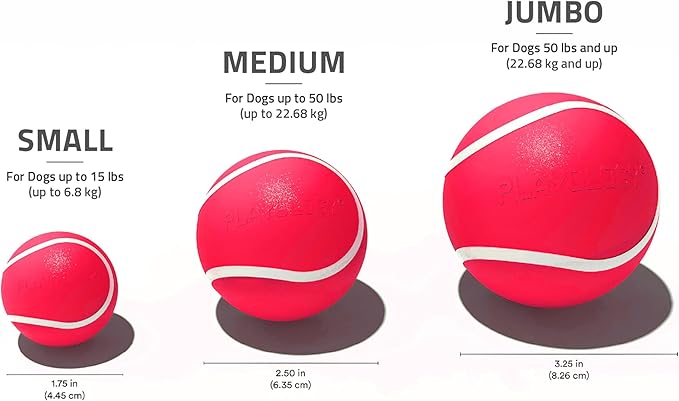 Playology Dog Toys | Squeaky Chew Ball - Bouncy Durable Floating Fetch Ball for Dogs | Medium Grandma's Gravy Scented Toy - Easy to Clean and Made from Non Toxic Materials