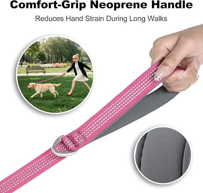 Plutus Pet Heavy Duty Dog Leash with Lockable Aluminum Carabiner, 4/6 Feet Long, Double-Sided Reflective Nylon, Padded Handle, for Puppy, Small, Medium and Large Dogs (Pink, 4/5" x 6')