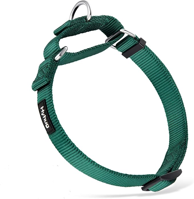 Hyhug Martingale Collar for Dogs Small Green |Escape - Proof Heavy Duty Nylon Durable No Buckle, Ideal for Training & Daily Walks