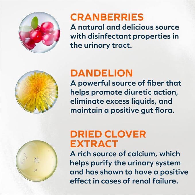 Forza10 - Cat Food, Vet-Formulated Renal Wet Cat Food, Non GMO, Kidney Care Food with Lamb Flavor, Crafted for Adults, Made in Italy (3.5 oz, 32 Pack)