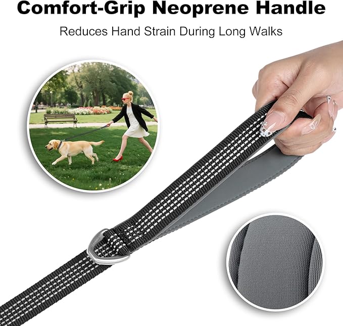 Plutus Pet Heavy Duty Dog Leash with Lockable Aluminum Carabiner, 4/6 Feet Long, Double-Sided Reflective Nylon, Padded Handle, for Puppy, Small, Medium and Large Dogs (Black, 1" x 4')