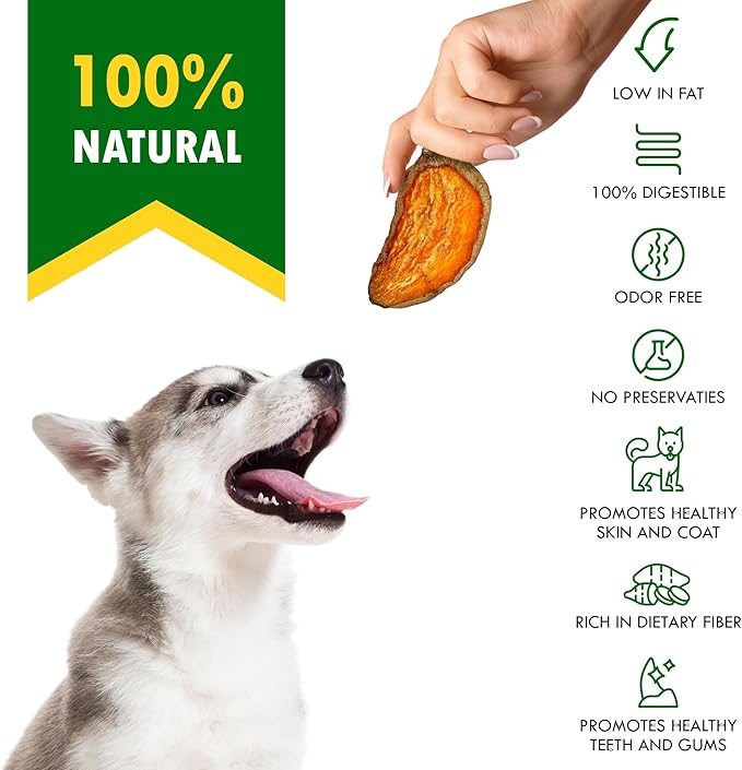Beloved Pets Dog Treats Sweet Potato Chips 10.6 oz - All Natural Pet Snack Chews - Grain Free & Human Grade Dried Snacks in Bulk - Best Jerky for Training Small & Large Dogs