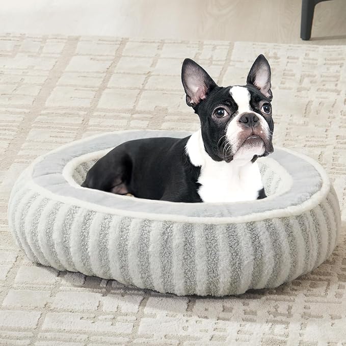 Dog Bed Medium Size Dogs, Washable Large Cat Beds for Indoor Cats with Anti-Slip Bottom, Supportive Soft Calming Sleeping Pet Bed for Puppy and Kitten, 25 inches, White