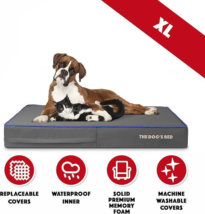 The Dog’s Bed Orthopedic Memory Foam Dog Bed, XL Grey/Blue 46x28, Pain Relief for Arthritis, Hip & Elbow Dysplasia, Post Surgery, Lameness, Supportive, Calming, Waterproof Washable Cover