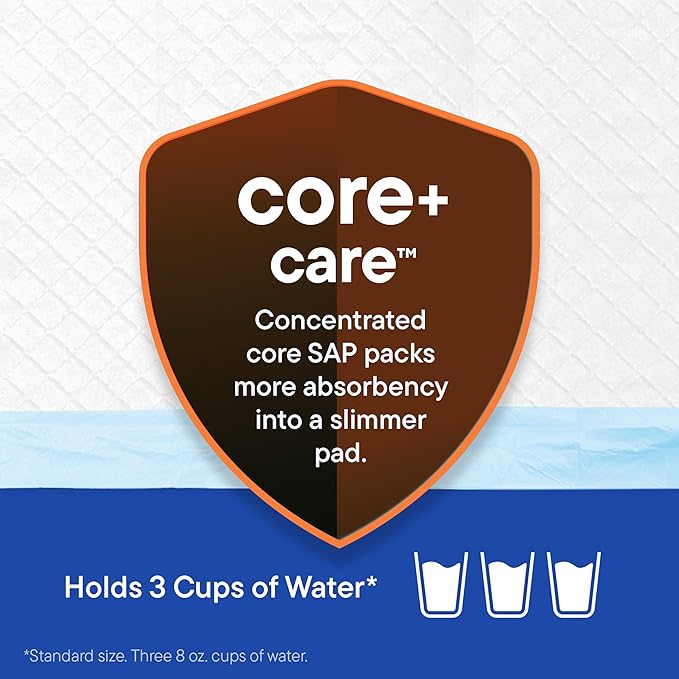 Puppy Pads Pet Pee Pads 22" x 22" [300-Count] Pet Training Disposable Pads, Compact Breed Pad, Leak-Proof, Bulk Case Pack - for Dachshunds, Shih Tzus, Pomeranians, Heavy Duty Surface Protector