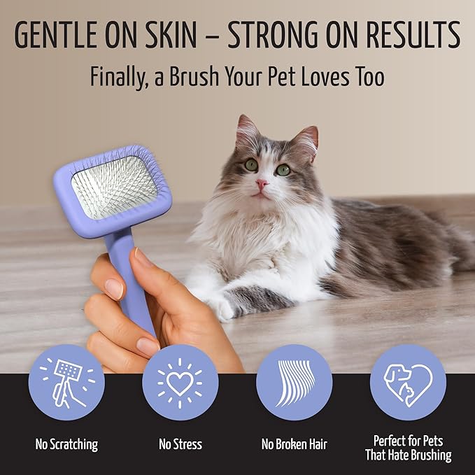 Tauro Pro Line Slicker Brush for Dogs Grooming - Goldendoodle, Poodle & Pomeranian Small Dogs or Cat - Pet Brush for Shedding, Mats or Tangles - Flexible Cushion & Non-Slip Grip (Size S - Purple)