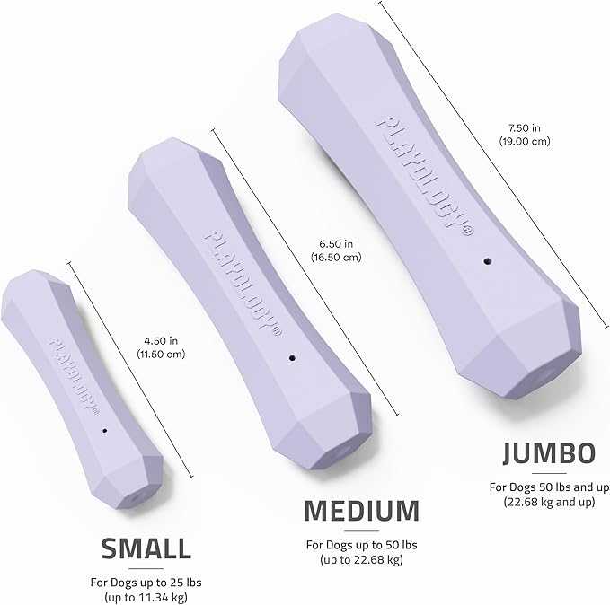 Playology Dog Toys | Durable Squeaky Chew Stick for Dogs | Medium Lamb Scented Toy - Easy to Clean and Made from Non Toxic Materials