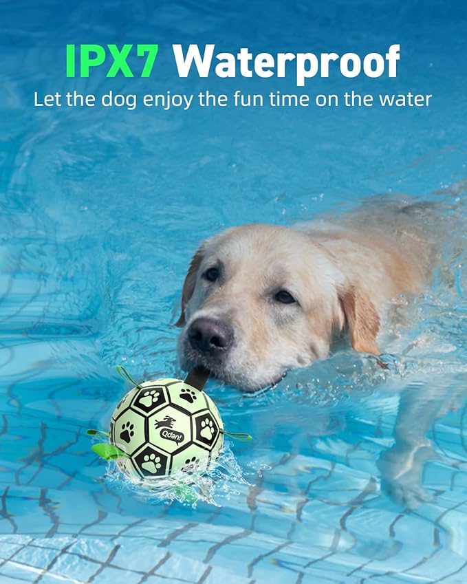 QDAN Dog Ball, Glow in The Dark Dog Toys, Light Up Soccer Ball for Dogs, Outdoor Dog Toys, Doggy Water Toy, Puppy Birthday Gifts for Medium Large (8 Inch)