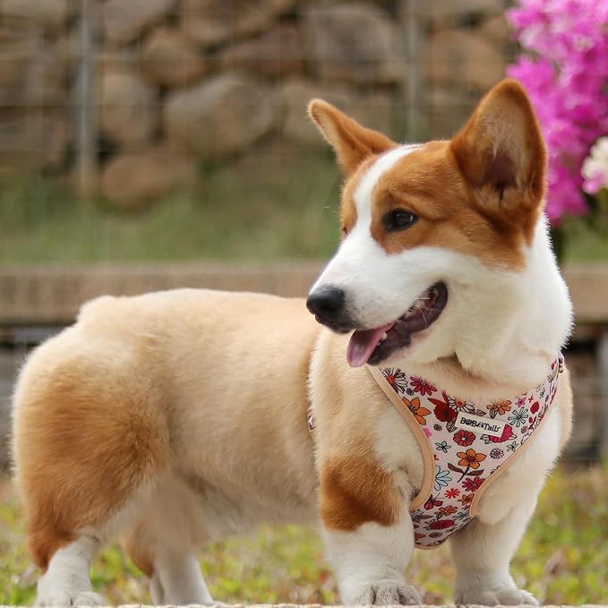 Flower Printed Dog Harness with D-Ring Leash Clip Set,Adjustable Soft Padded and Cotton Fabric Pet Vest for Medium and Small Dogs (Navajo White, Small)