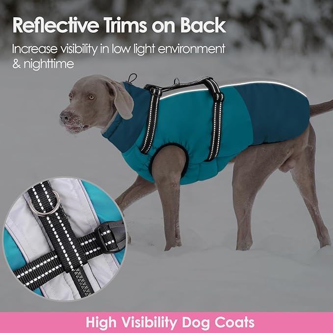 AOFITEE Dog Coat for Small Dogs, Warm Dog Winter Jacket with Harness Built in, Waterproof Small Winter Coat Dogs Reflective Cold Weather Coats for Chihuahua, Yorkshire, Turquoise XS