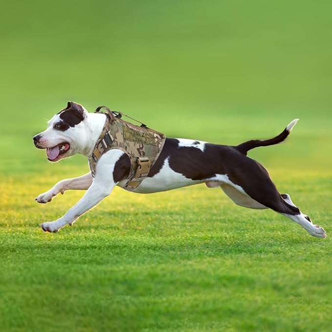 Tactical Dog Backpack Harness for Large Breed Original Design Metal Buckle Vest with Side Bags Pouches for Service Working Training (Khaki (Vest only), M)