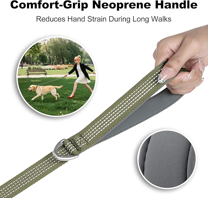 Plutus Pet Heavy Duty Dog Leash with Lockable Aluminum Carabiner, 4/6 Feet Long, Double-Sided Reflective Nylon, Padded Handle, for Puppy, Small, Medium and Large Dogs (Ranger Green, 1" x 6')