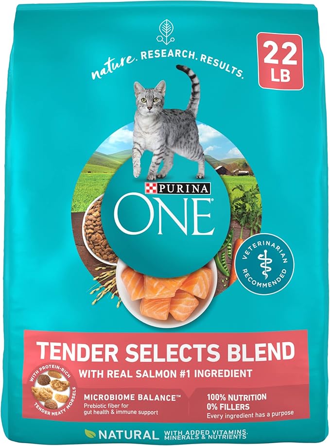 Purina ONE Natural Dry Cat Food, Tender Selects Blend with Real Salmon - 22 lb. Bag
