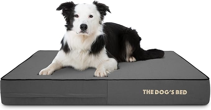 The Dog’s Bed Orthopedic Memory Foam Dog Bed, Large Grey & Black, Waterproof, Supportive Dog Bed with Replaceable Covers, Veterinary Approved