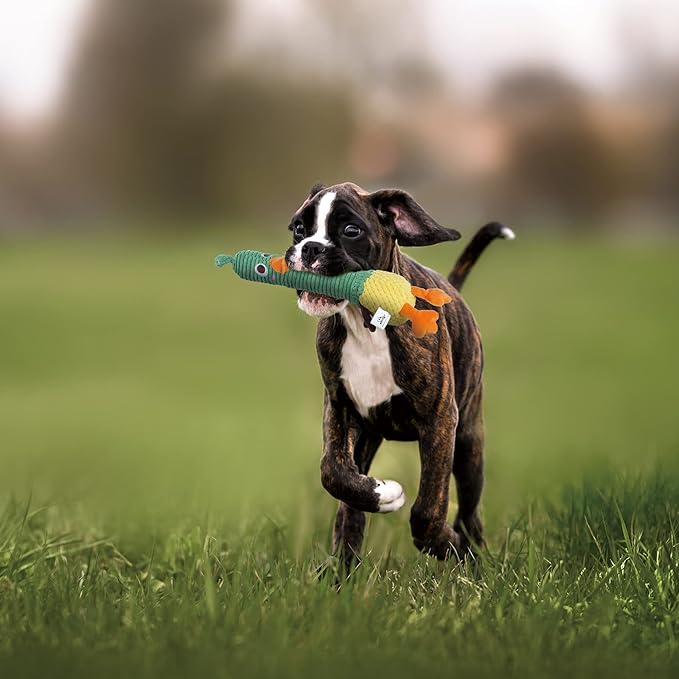 Nocciola 2 in 1 Duck Dog Toy with a Large Rubber Squeaker - Durable Stuffed Squeaky Crinkle Chew Toys for Aggressive Chewers, Medium and Large Breeds, Dog Christmas Stocking Stuffer