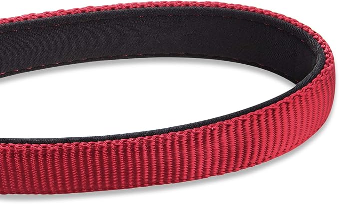 Hyhug Pets 24 Inches Durable Short Leash with Neoprene Soft Handle and Lightweight Aviation Aluminium Clip Lead- for Daily Use Walking and Professional Training. (24 Inches, Red)